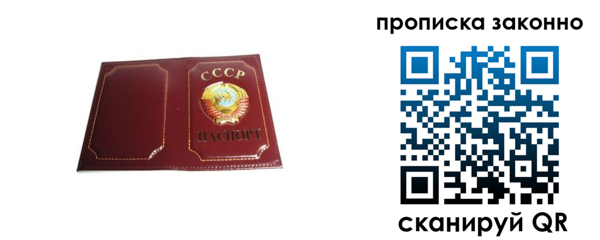 прописка законно в Судогде
